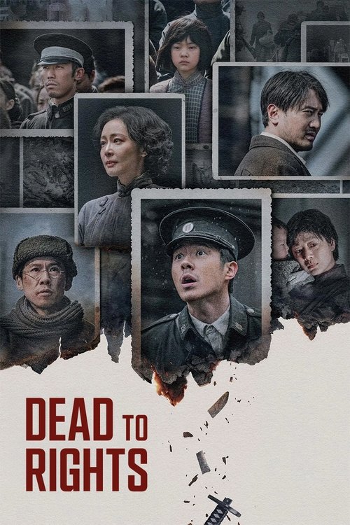 Subtitrare  Dead to Rights (Nan Jing zhao xiang guan) HD 720p 1080p