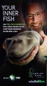 Subtitrare  PBS - Your Inner Fish HD 720p