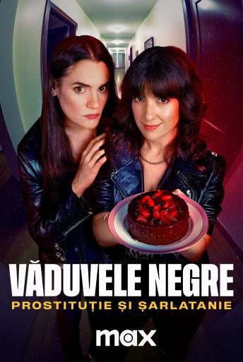 Subtitrare  Black Widows: Wh*Res & Hustlers (Viudas Negras: P*tas y Chorras) - Sezonul 1