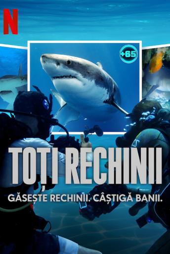 Subtitrare All the Sharks - Sezonul 1