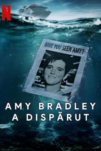 Subtitrare Amy Bradley Is Missing - Sezonul 1