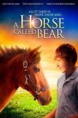 Subtitrare A Horse Called Bear (A Horse for a Friend)