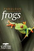 Subtitrare BBC - Natural World - Attenborough's Fabulous Frog