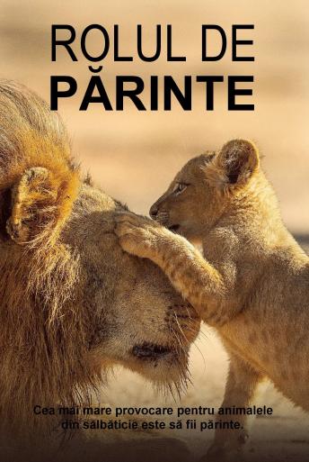 Subtitrare Parenthood - Sezonul 1