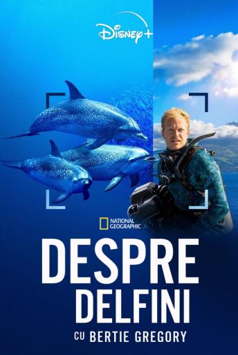 Subtitrare Dolphins Up Close with Bertie Gregory