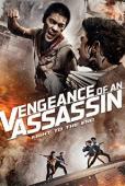Subtitrare  Vengeance of an Assassin HD 720p 1080p XVID