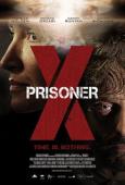Subtitrare  Prisoner X HD 720p 1080p XVID