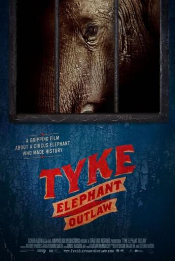 Subtitrare  Tyke Elephant Outlaw