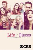 Subtitrare Life in Pieces - First Season