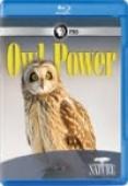 Subtitrare  PBS - Owl Power HD 720p