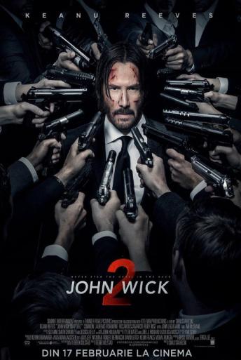 Subtitrare  John Wick: Chapter 2 (John Wick 2)