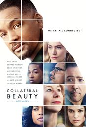 Subtitrare Collateral Beauty