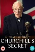 Subtitrare  Churchill's Secret