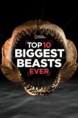 Subtitrare  Top 10 Biggest Beasts Ever