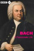 Subtitrare  Bach: A Passionate Life