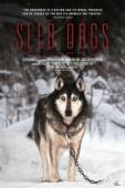 Subtitrare Sled Dogs 