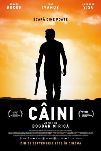 Subtitrare  Câini (Dogs)