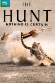 Subtitrare BBC - The Hunt