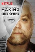 Subtitrare Making A Murderer - First Season