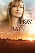 Subtitrare Pray for Rain