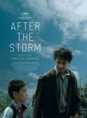 Subtitrare  After the Storm HD 720p 1080p