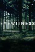 Subtitrare Eyewitness - Sezonul 1
