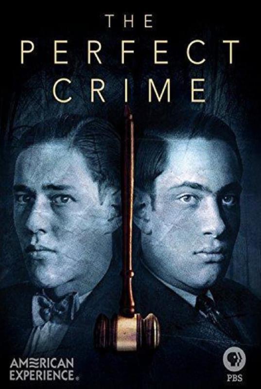 Subtitrare The Perfect Crime (The Perfect Crime: Leopold & Loeb)