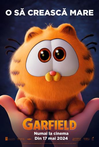 Subtitrare  The Garfield Movie