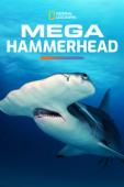 Subtitrare  Mega Hammerhead