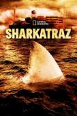 Film Sharkatraz