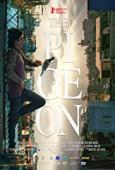 Subtitrare  The Pigeon (Güvercin)