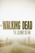 Subtitrare The Walking Dead: The Journey So Far