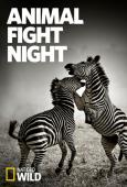 Trailer Animal Fight Night