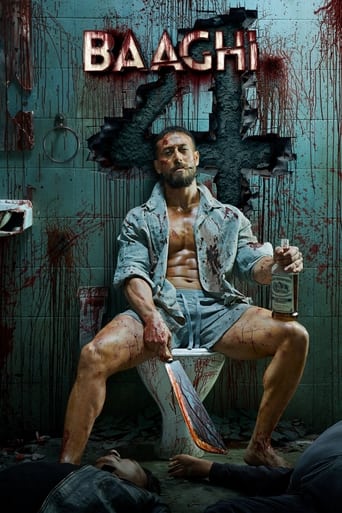 Subtitrare Baaghi 4