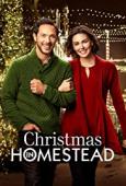 Subtitrare  Christmas in Homestead