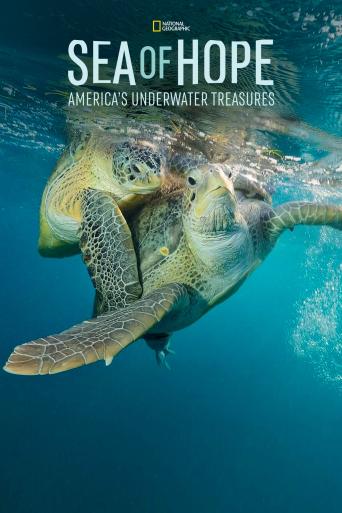 Subtitrare  Sea of Hope: America's Underwater Treasures