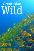 Subtitrare  Great Blue Wild - Season 1 HD 720p 1080p