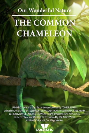 Subtitrare Our Wonderful Nature - The Common Chameleon