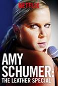 Subtitrare Amy Schumer: The Leather Special