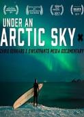 Subtitrare Under an Arctic Sky