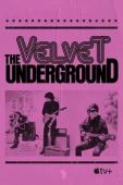 Subtitrare  The Velvet Underground