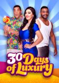 Subtitrare  30 Days of Luxury (Talatin Yom fi el-Izz)