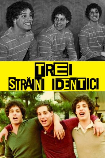 Subtitrare Three Identical Strangers