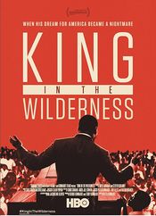 Subtitrare  King in the Wilderness 1080p