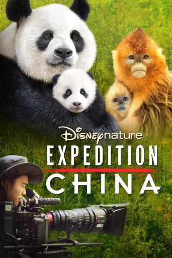 Trailer Expedition China