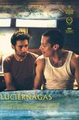 Subtitrare  Fireflies (Luciérnagas) DVDRIP