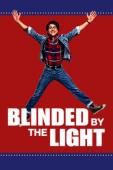 Subtitrare  Blinded by the Light HD 720p 1080p XVID