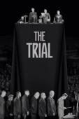 Subtitrare  The Trial 1080p