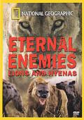 Subtitrare  Eternal Enemies: Lions and Hyenas