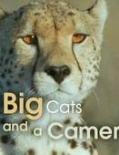 Subtitrare  Five Big Cats and a Camera
